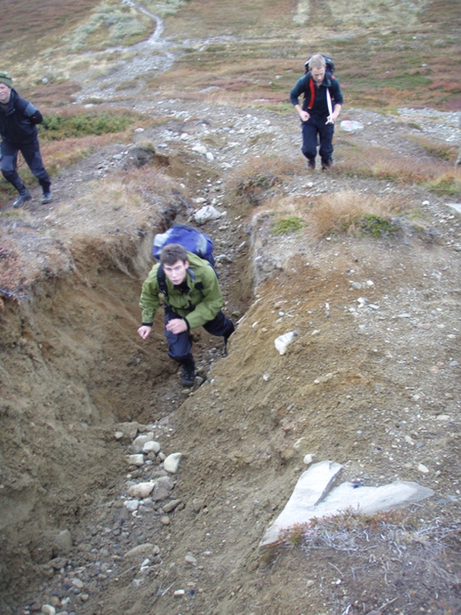 Kai trivdes best nede i grøfta